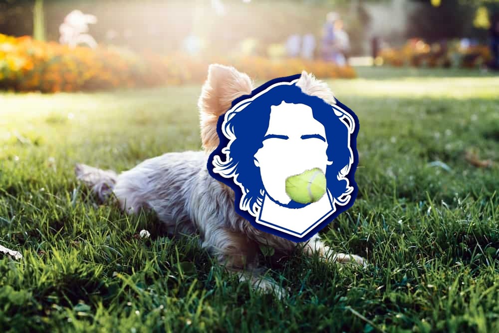 Jornada Especial Mundial 2018 #6 - O Cão Do Meu Jardim episode artwork